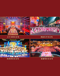 2024春晚分会场春节特别节目(全集)